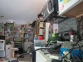 voyeurcam bridgetleewalters 02